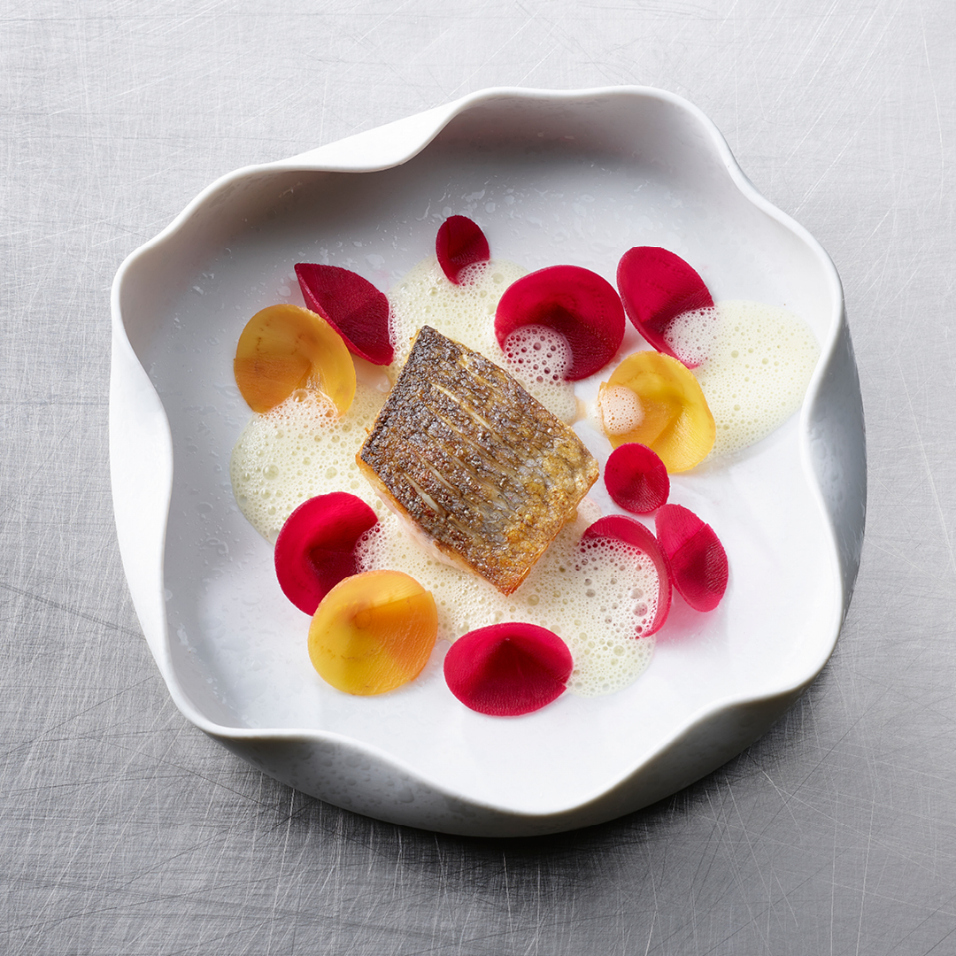 Kross gebratener Bio Wolfsbarsch | eingelegte Randen | Meerrettich ... Kross gebratener Bio Wolfsbarsch | eingelegte Randen | Meerrettich ...