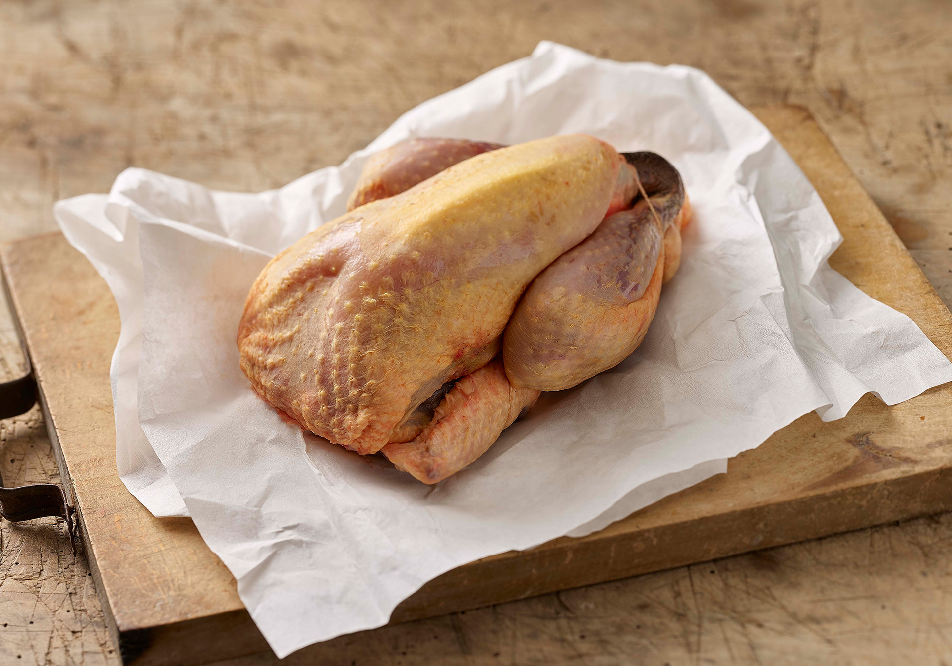 Poulet