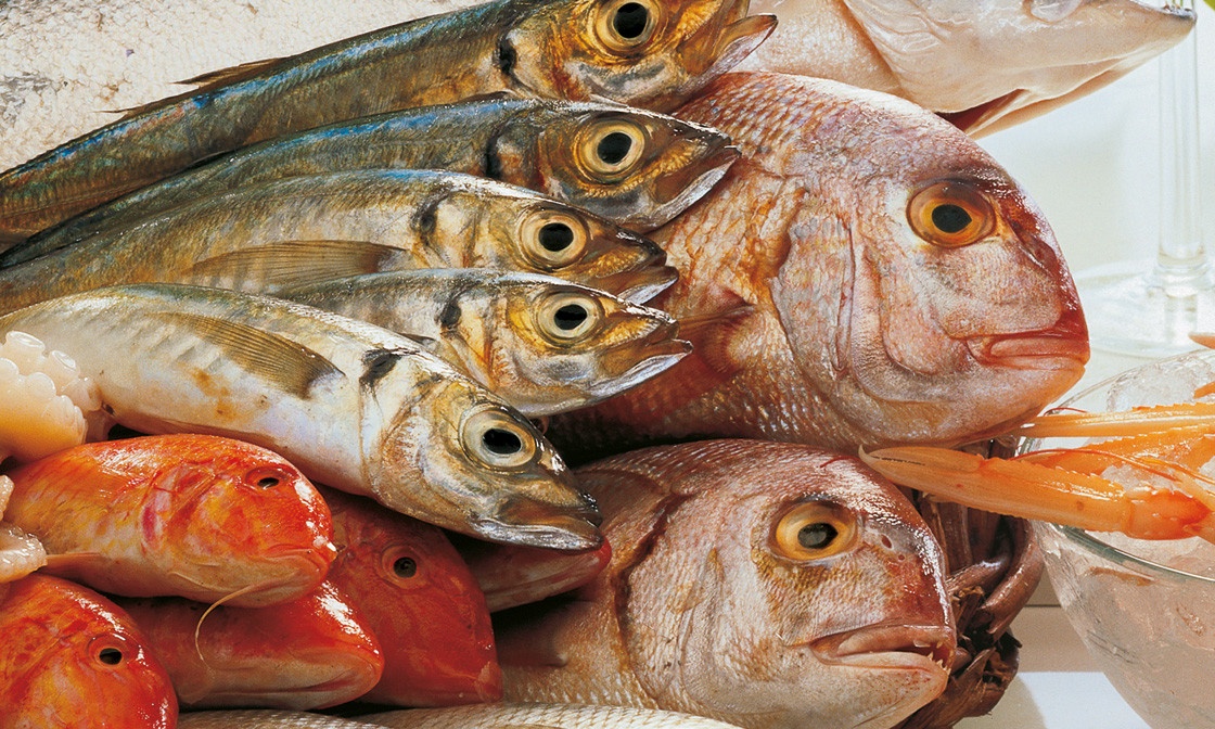 Fisch und Seafood