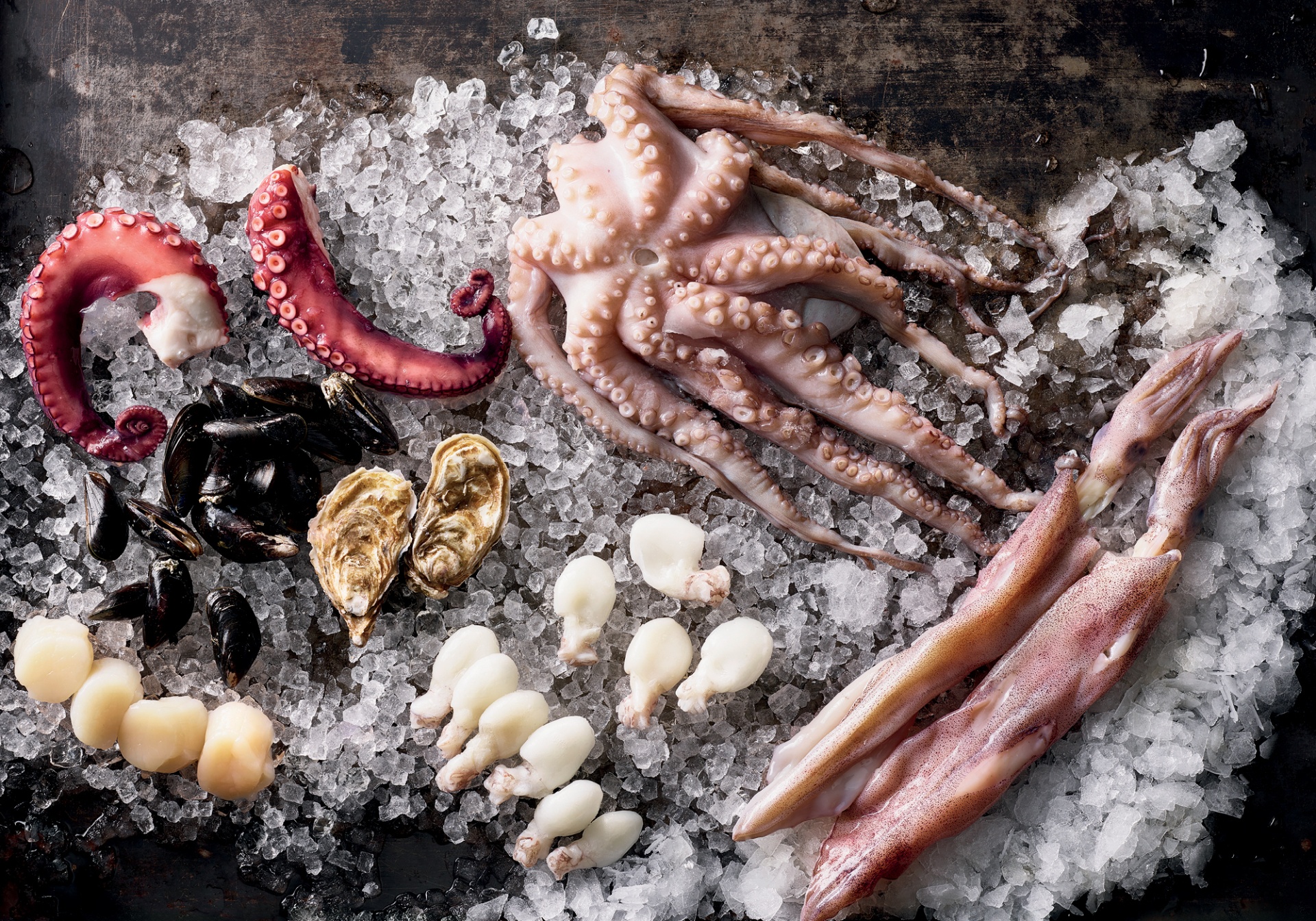 Fisch und Seafood