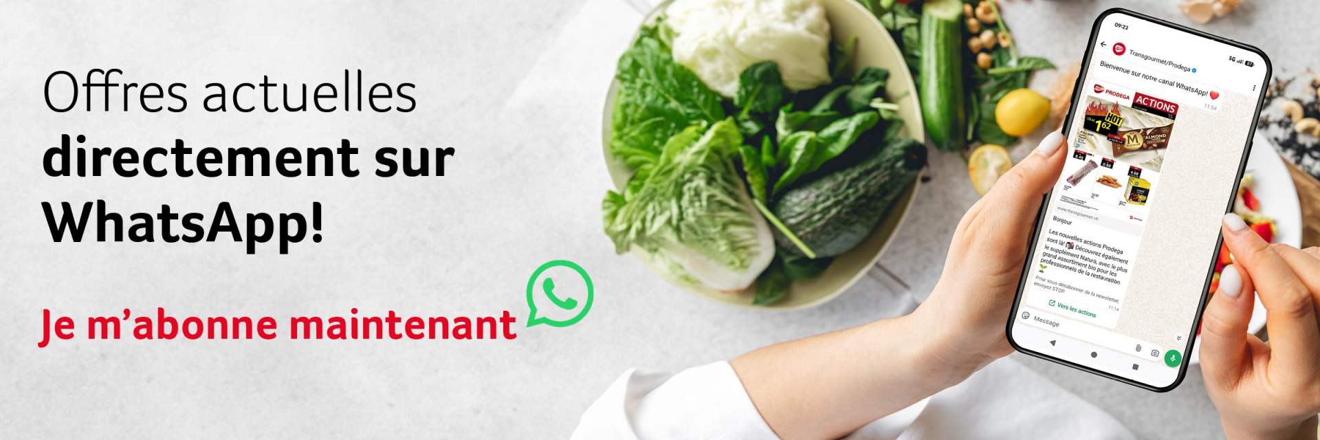 Angebote direkt per WhatsApp