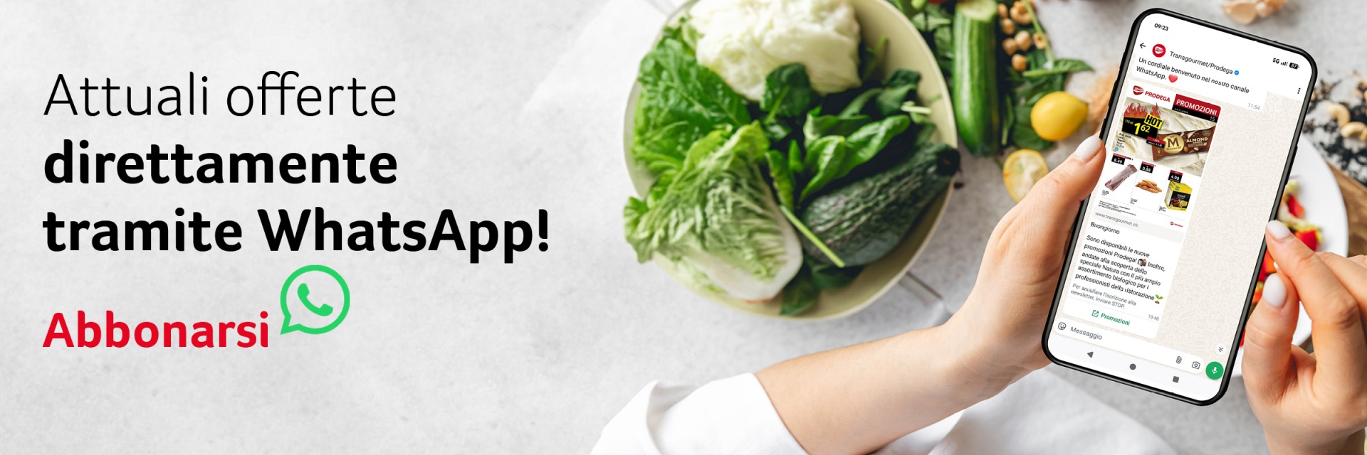 Angebote direkt per WhatsApp